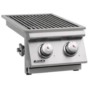 Two gas burner module shown from the left.